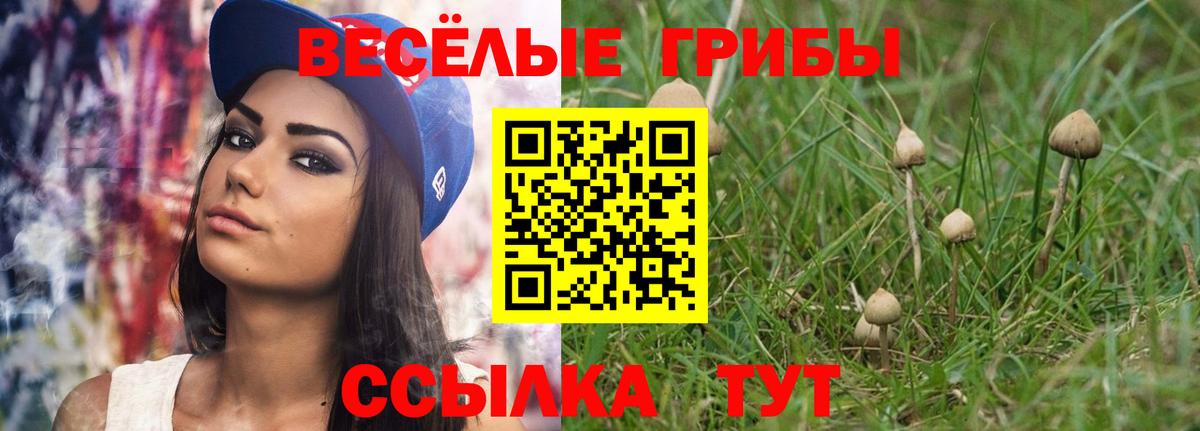 Псилоцибиновые грибы ЛСД Кондопога