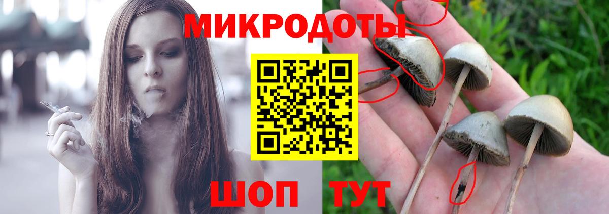 Галлюциногенные грибы Psilocybe  Вход с VPN  Кондопога 